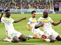 半岛体育体育入口-荷兰国家队成功晋级，展现出强大实力的简单介绍