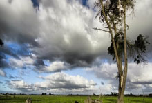 半岛体育体育登录-广州恒大在主场战胜河南建业，延续不败记录的简单介绍