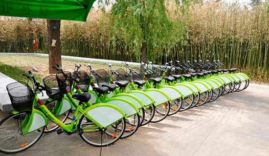 摩洛哥男篮率先响应环保倡议，倡导绿色出行！的简单介绍