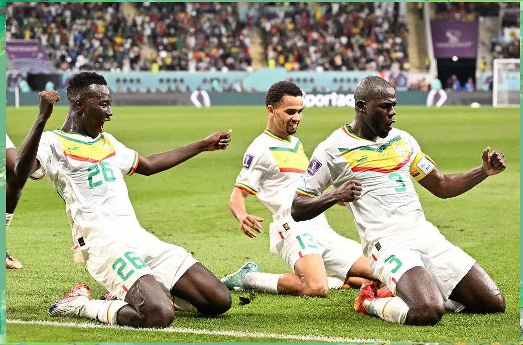 荷兰国家队成功晋级，展现出强大实力的简单介绍